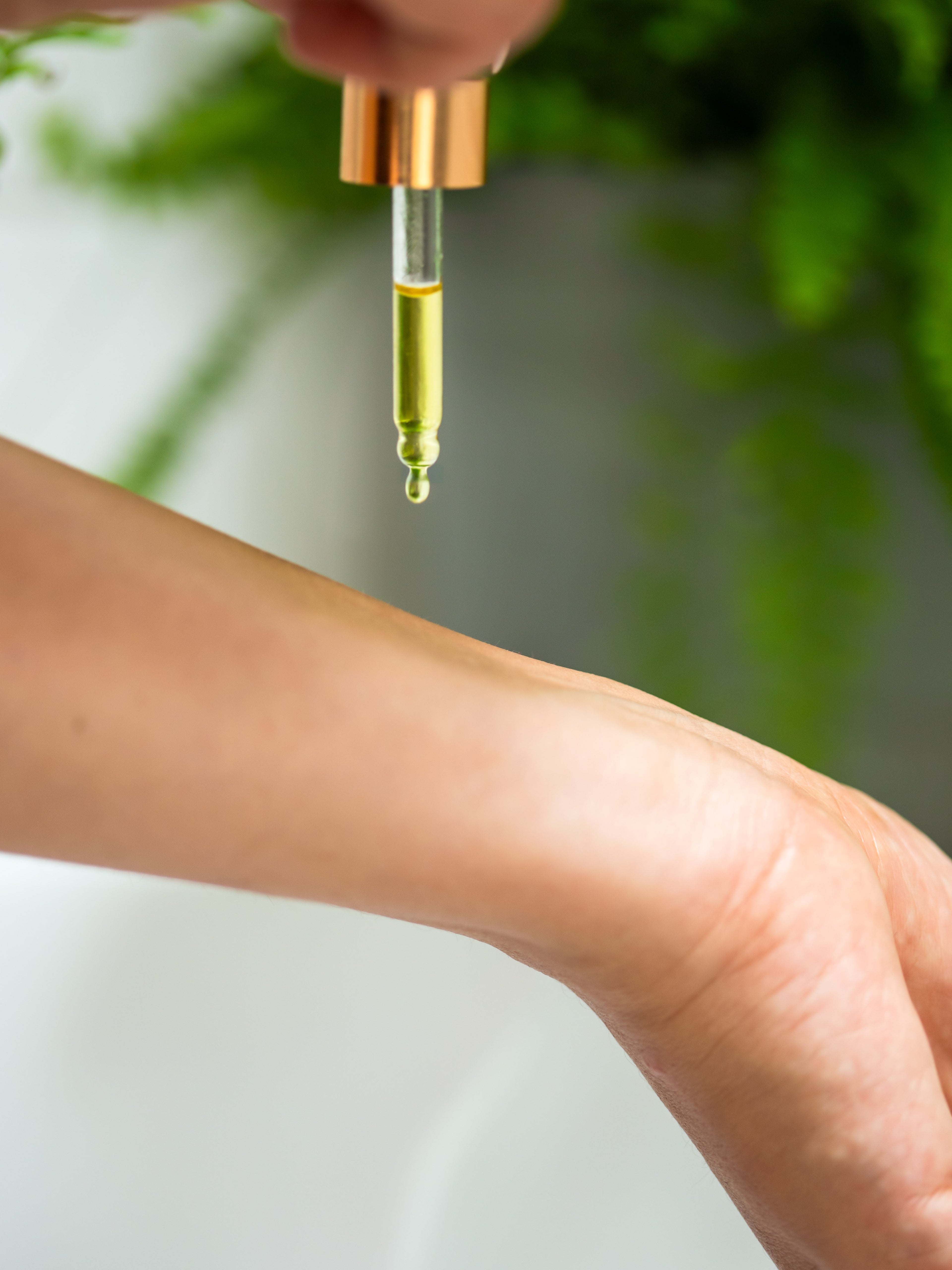 Organic Prickly Pear Seeds Oil - 10ml