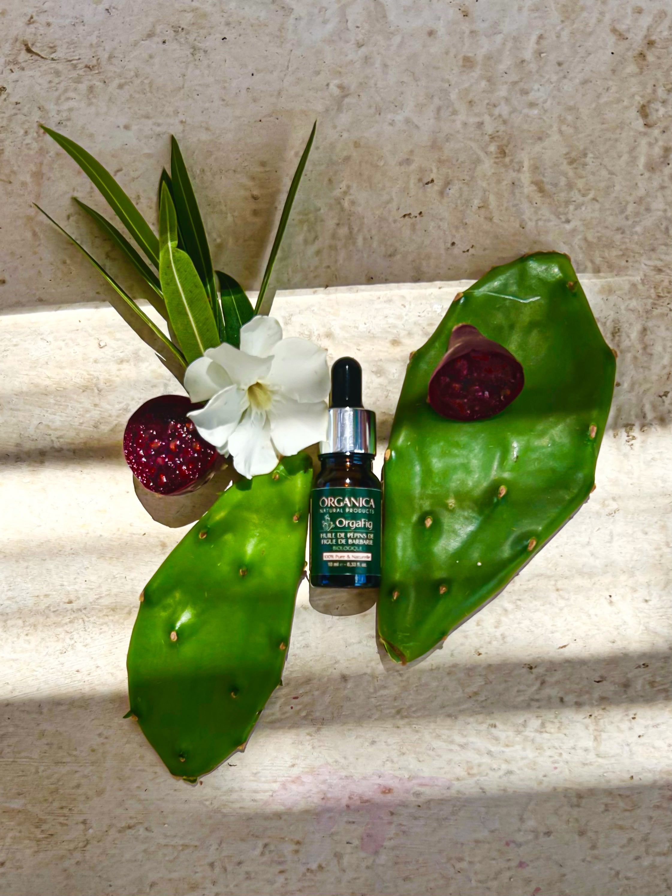 Organic Prickly Pear Seeds Oil - 10ml