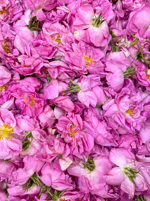 Artisanal May Rose Water - 100ml